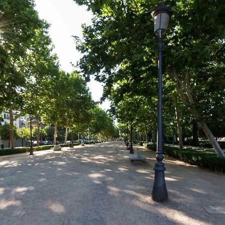 גרנדה Apartamento Paseo Del Salon מראה חיצוני תמונה